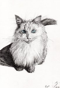 Monty by Vincent Alexander Booth